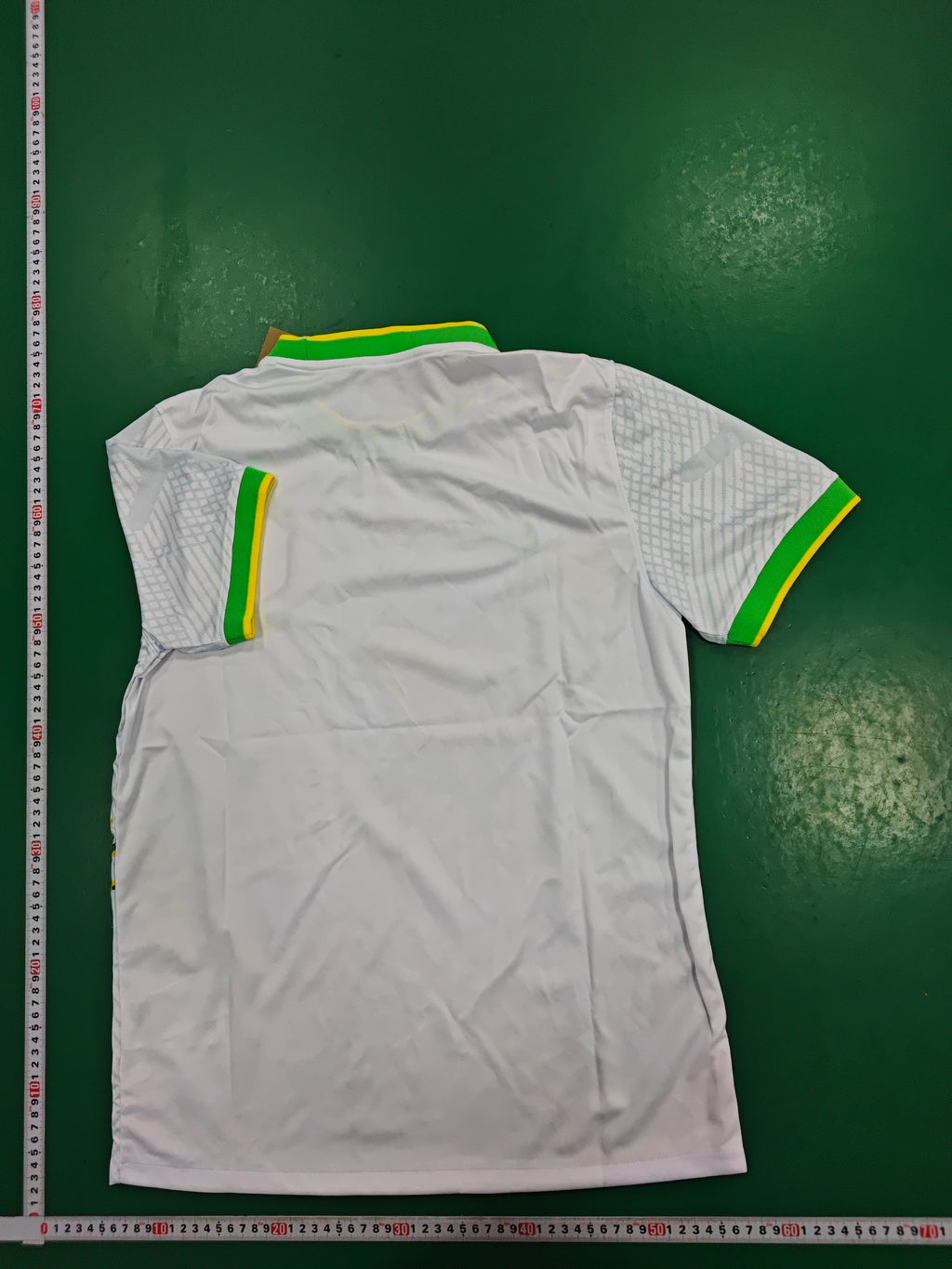 Brazilian birds jersey